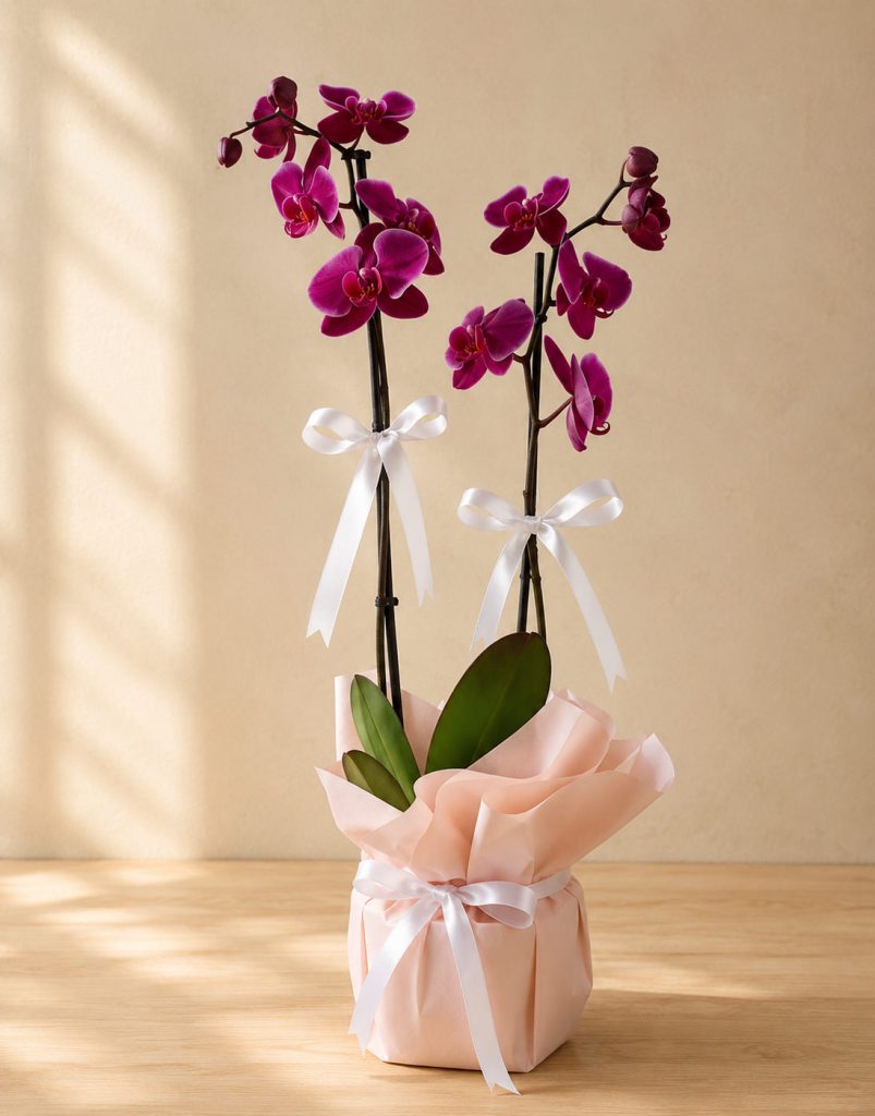 Orquidea  en base
