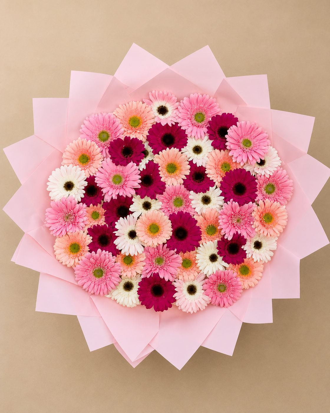 Ramo Gerberas Encanto Rosa Jumbo